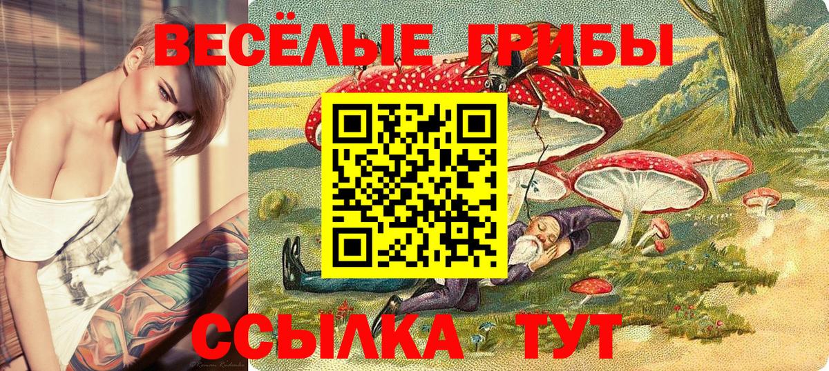 Псилоцибиновые грибы Magic Shrooms Озёры