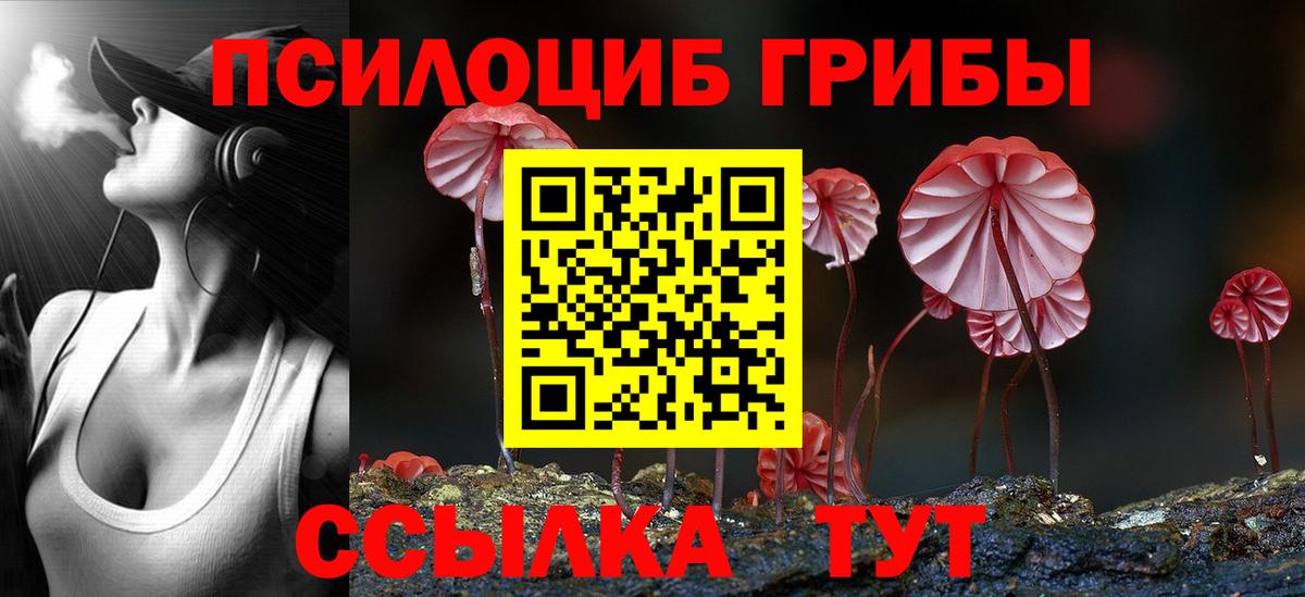 где найти наркотики  Псилоцибиновые грибы мицелий  Вход с VPN  Озёры 